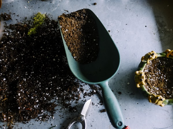 Travail de la terre au jardin